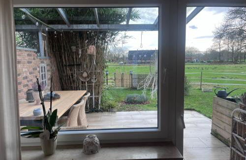 Haus Van Dijk - Foto 6