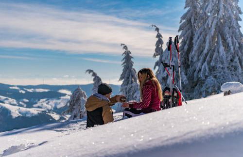 Ferienwohnung Seeblick Nr 4 2-Zimmer, Bärental, Feldberg - Foto 11