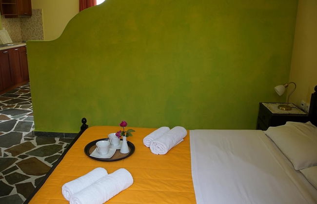 Ktima Nikola - Photo 6