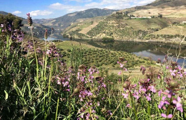 Quinta São Luiz Wine Tasting - Photo 9