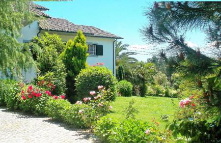 Casa Pinho - Foto 40