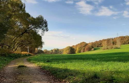 Quiet Comfort in Oelsnitz - Foto 18