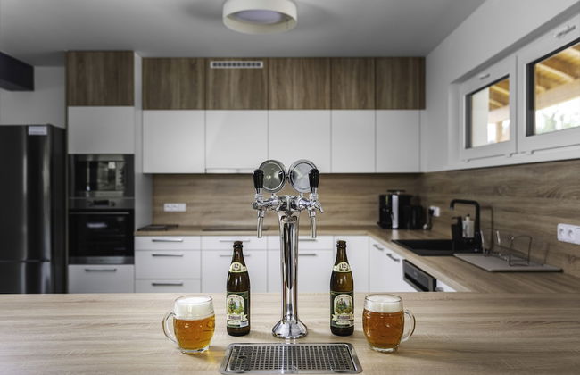 Prosence Kpa250 in Prosecn - Foto 8