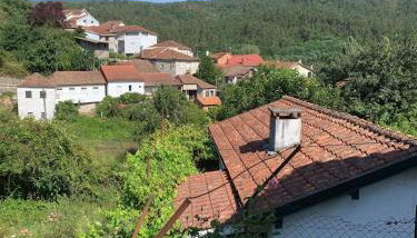 grandma s carolina villa - Photo 4