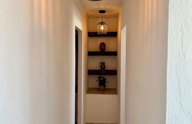 Palm Leaf Mogan - Foto 23