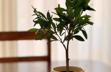 Villa Fanouris - Foto 23