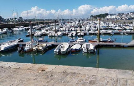 Les Fougères - Foto 11