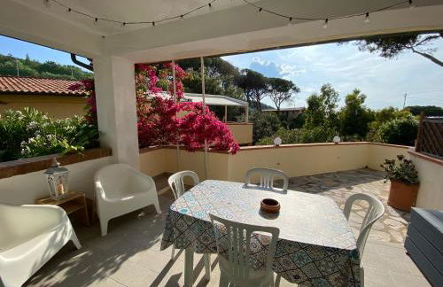 Beach apartments Isola d'Elba - Foto 10