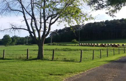 La Nappie - Photo 13