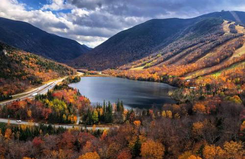 Cozy Log Cabin- W Fireplace - Foto 55