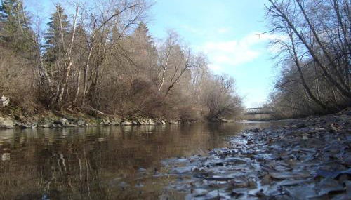 Gästehaus Beranek - Foto 4