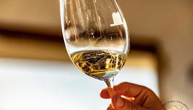 Visita privada al viñedo vasco : Cata de vinos Txakoli desde Bilbao - Foto 5