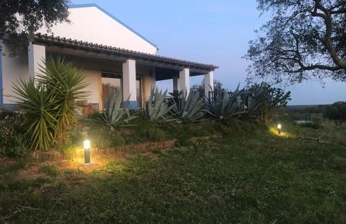 Quinta da Colina - Foto 41