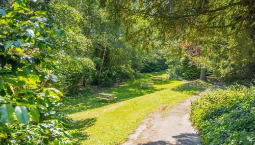 Stylish Private Bedrooms and Apartments at Beech Gardens Student Accommodation - Foto 5, Garden, Garden view