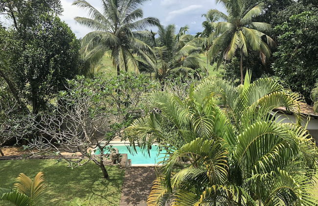 Galle Henna Estate - Foto 42