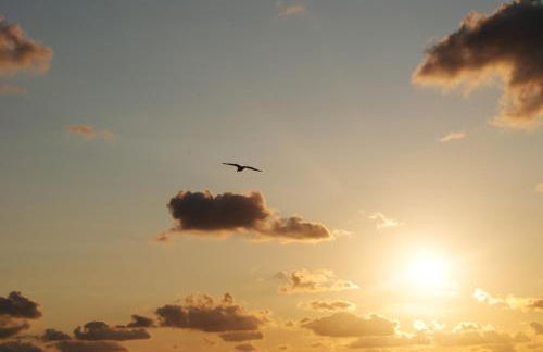 Klaus Jensen , Unter den Linden - Foto 50