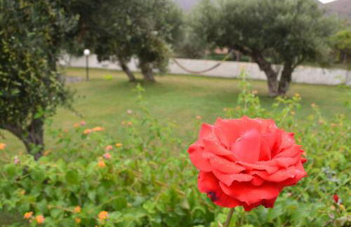 Aeolus pool apts - Photo 18