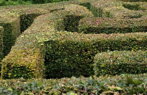 Watermouth Castle, Rhododendron Apartment - Foto 49