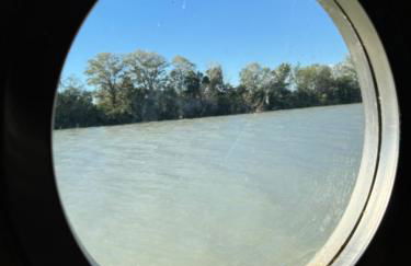 Cabanon au bord du petit Rhône - Foto 1