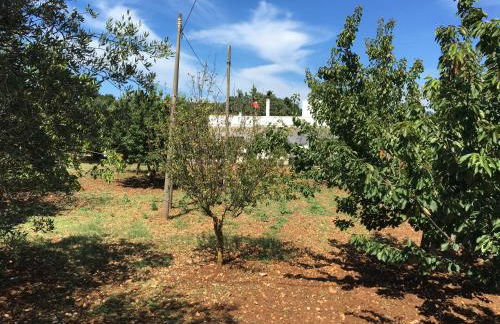 La casa di Colino e Annina - Foto 19