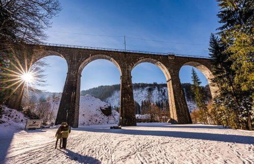 Ferienwohnung Seeblick Nr 4 2-Zimmer, Bärental, Feldberg - Foto 16