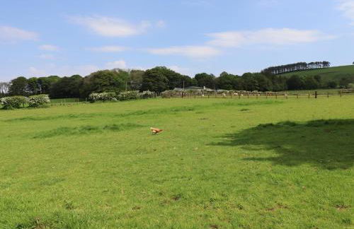 Dryfe Lodge - Foto 12