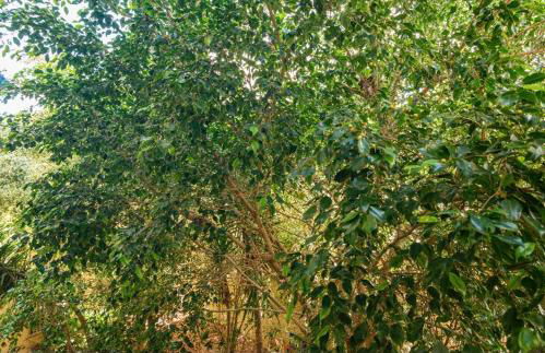 Almadita ROOMS - Foto 9