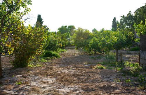 Cal Carreró - Foto 27