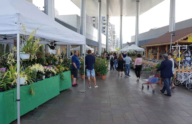 Casa Liberty - Foto 55