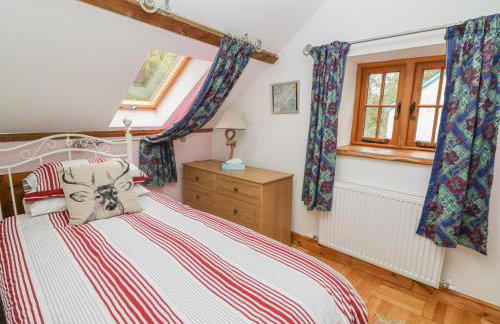 Felin Iago - Foto 14