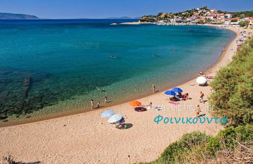 Avocado house - Foto 41