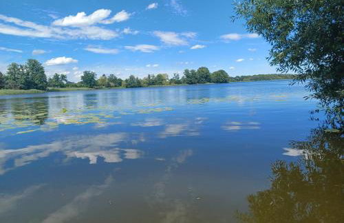 Ferienhaus am Bauernsee - Foto 12