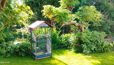 Pension Kaden - Foto 4, Garden, Garden view