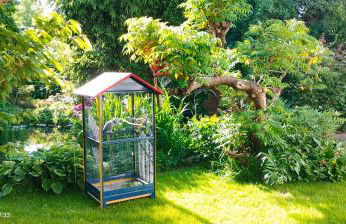 Pension Kaden - Foto 4