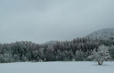 Schwarzwald Appartement - Foto 33