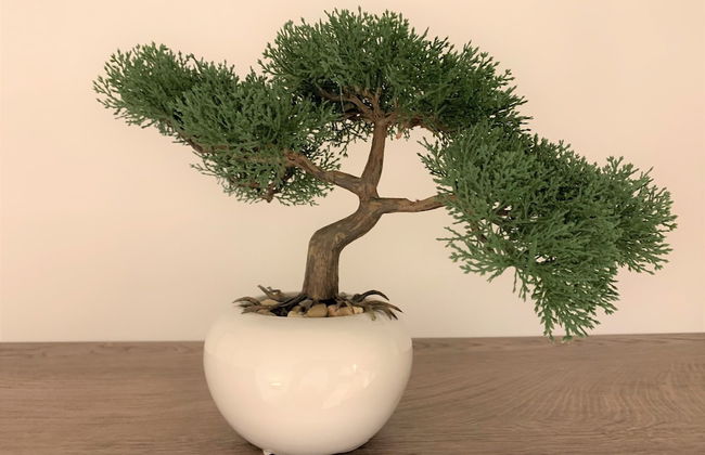 Villa Fani - Apartments and Rooms - Foto 67