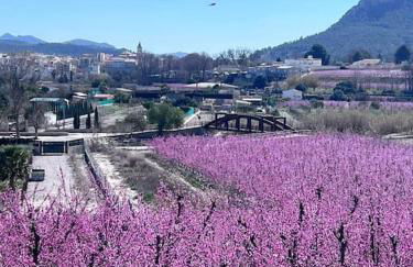 Casita Stam Orihuela - Foto 42