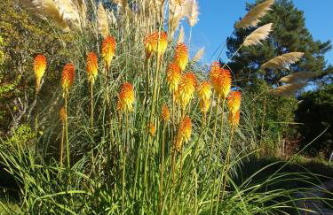 Le Rossignol - La Cipière Gîtes - Foto 6