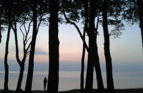 Inspektorenhaus am Jagdschloss mit Meerblick - Photo 31