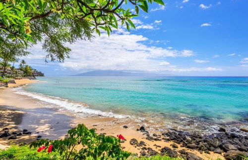 Kuleana 706 - 1Br Condo - Foto 36