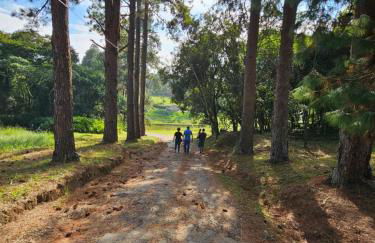 Cabana Rota do Vinho - Foto 5