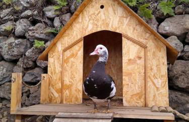 Los Huertos Conect with the nature & relax - Foto 63