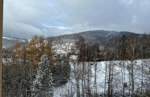Apartment Panorama Wisła - Photo 33