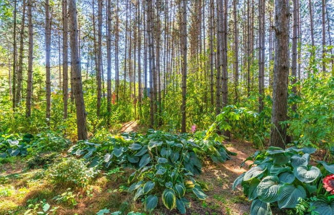 Cosy, 1800 Farmhouse With Sauna - Foto 35