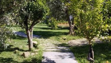 Casa da Paleta - Foto 4