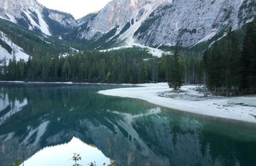 Faltnerhof - Foto 48