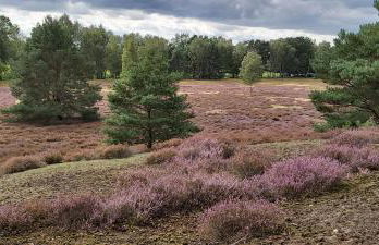 de lüt Ferienhof Jameln - Foto 41