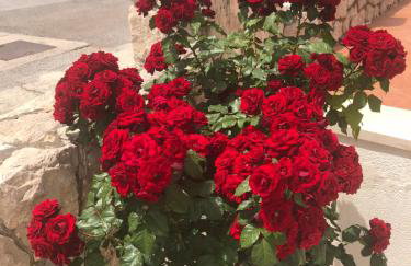 Apartments Adriatic Blue - Foto 59