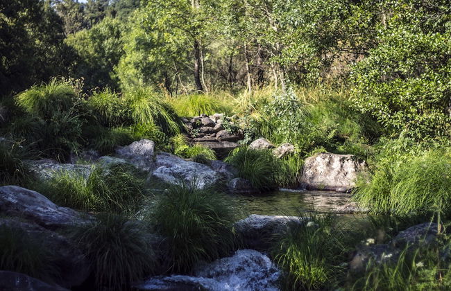 Casa Moinho da Mouta - Foto 18