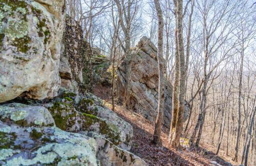 Lula Lake Cabin - Foto 11